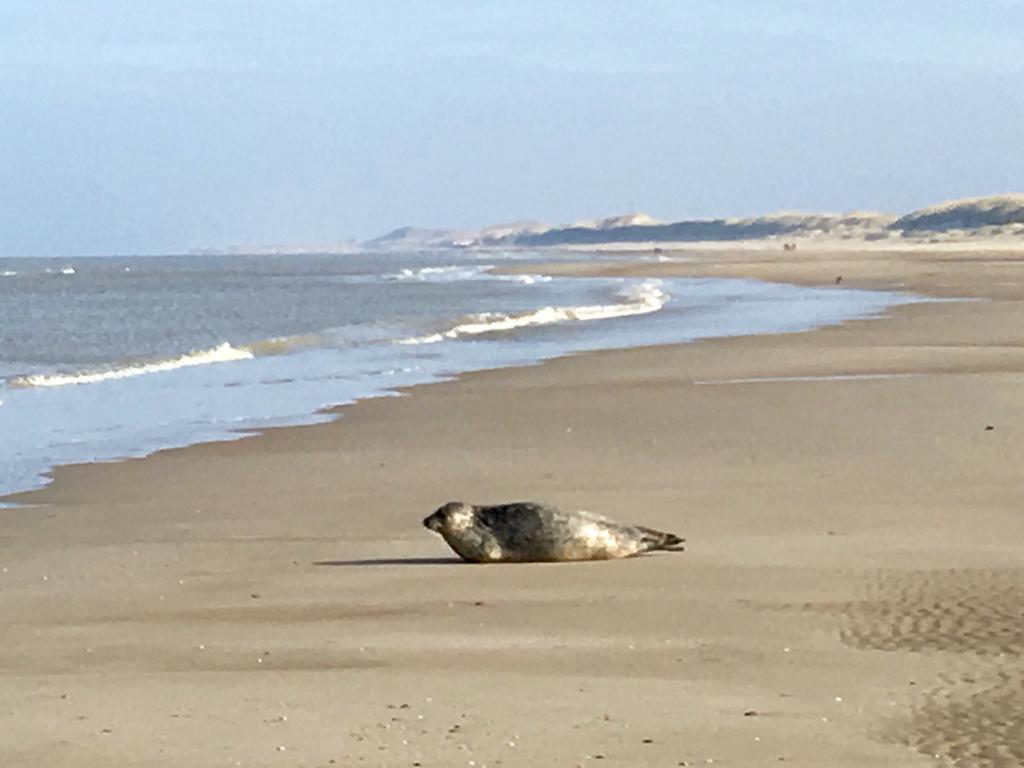 Hotel Prins Maurits Bergen aan Zee Εξωτερικό φωτογραφία